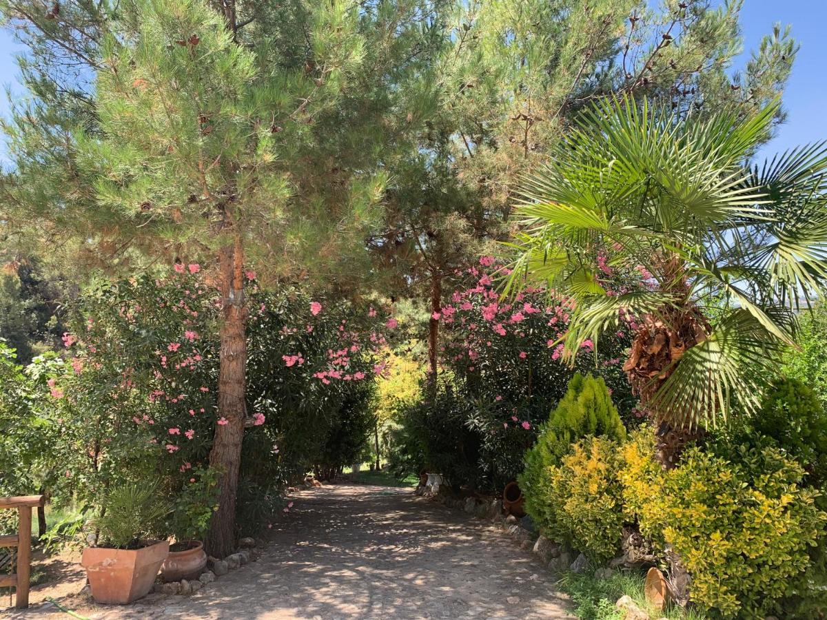 Cortijo La Julia Villa Orcera Dış mekan fotoğraf
